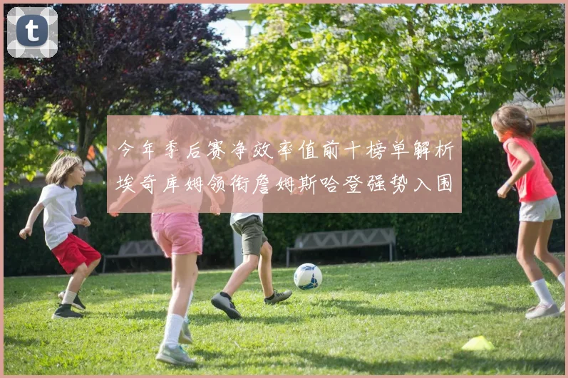今年季后赛净效率值前十榜单解析埃奇库姆领衔詹姆斯哈登强势入围